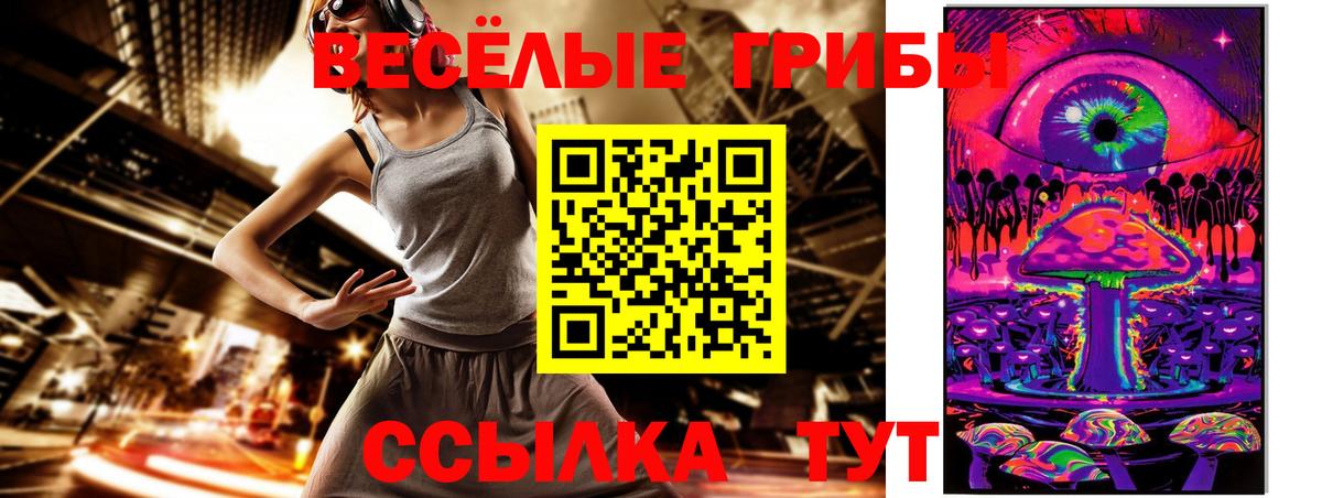 Коммунар  Псилоцибиновые грибы Psilocybe  Вход с VPN  Псилоцибиновые грибы GOLDEN TEACHER 